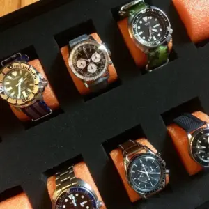 Watch case